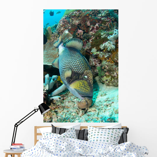 Titan Triggerfish Feeding Komodo Wall Decal