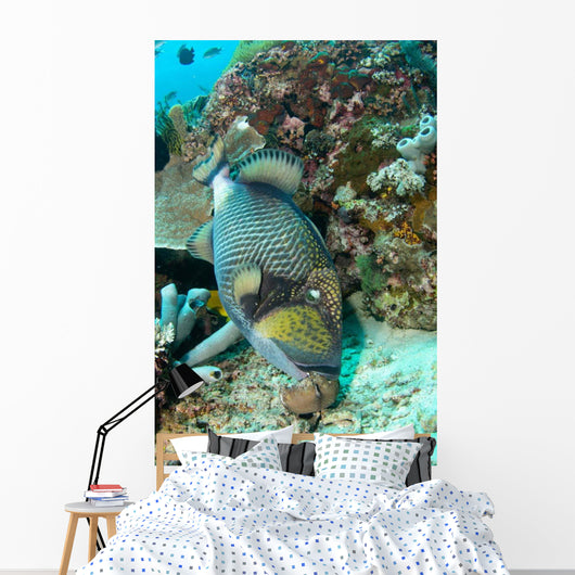 Titan Triggerfish Feeding Komodo Wall Decal