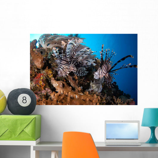 Two Lionfish Hunting Small Wall Decal Design 2