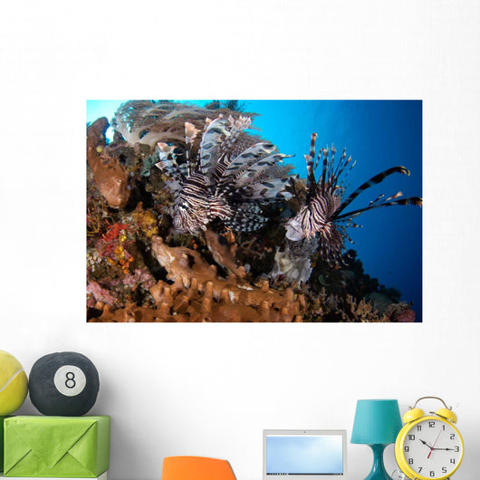 Two Lionfish Hunting Small Wall Decal Design 2