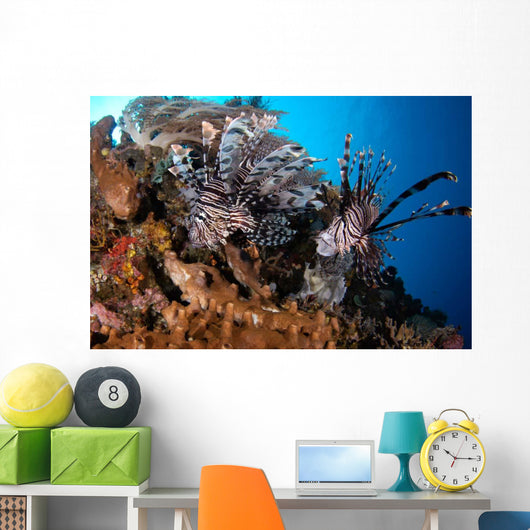 Two Lionfish Hunting Small Wall Decal Design 2