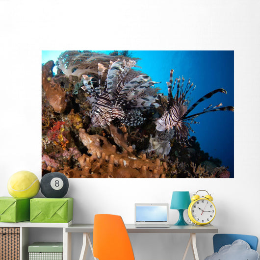 Two Lionfish Hunting Small Wall Decal Design 2