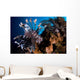 Two Lionfish Hunting Small Wall Decal Design 1