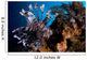 Two Lionfish Hunting Small Wall Decal Design 1