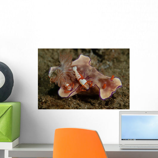 Two Emperor Shrimp Catch Wall Decal