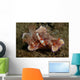Two Emperor Shrimp Catch Wall Decal