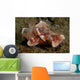 Two Emperor Shrimp Catch Wall Decal