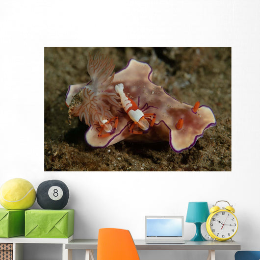 Two Emperor Shrimp Catch Wall Decal