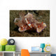Two Emperor Shrimp Catch Wall Decal