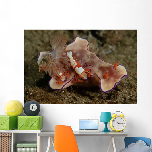 Two Emperor Shrimp Catch Wall Decal