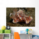 Two Emperor Shrimp Catch Wall Decal