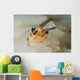 Pokemon Nudibranch Feeds Eggs Wall Decal