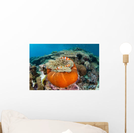 Magnificent Sea Anemone Shallow Wall Decal Design 2