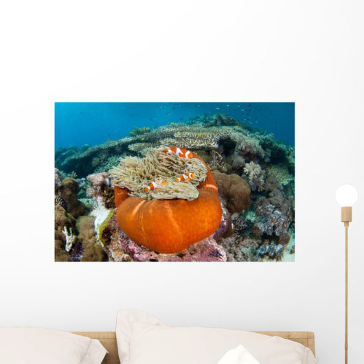 Magnificent Sea Anemone Shallow Wall Decal Design 2