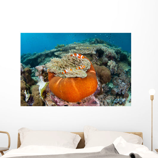 Magnificent Sea Anemone Shallow Wall Decal Design 2