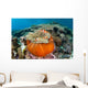 Magnificent Sea Anemone Shallow Wall Decal Design 2