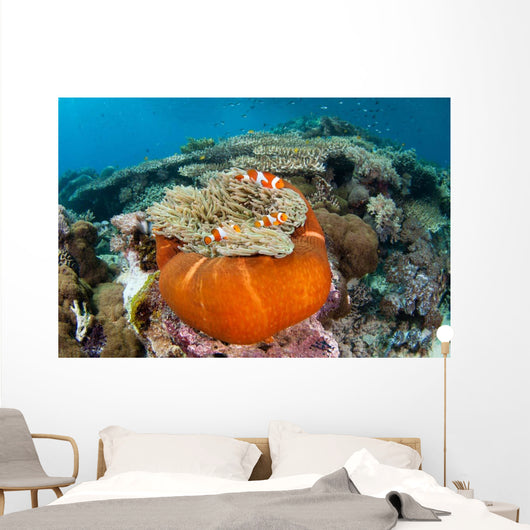 Magnificent Sea Anemone Shallow Wall Decal Design 2