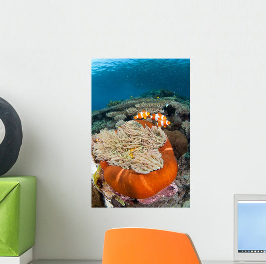 Magnificent Sea Anemone Shallow Wall Decal Design 1