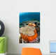 Magnificent Sea Anemone Shallow Wall Decal Design 1