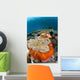 Magnificent Sea Anemone Shallow Wall Decal Design 1