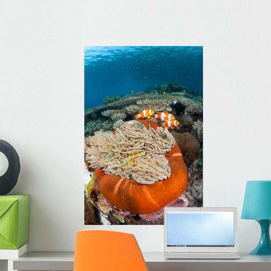 Magnificent Sea Anemone Shallow Wall Decal Design 1