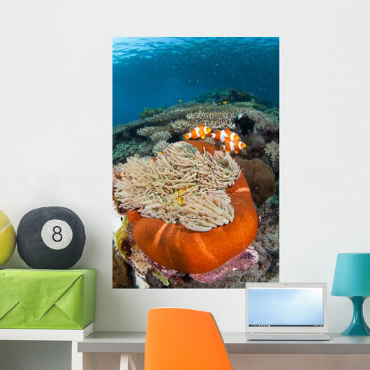 Magnificent Sea Anemone Shallow Wall Decal Design 1