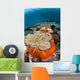 Magnificent Sea Anemone Shallow Wall Decal Design 1