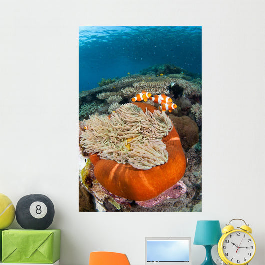 Magnificent Sea Anemone Shallow Wall Decal Design 1