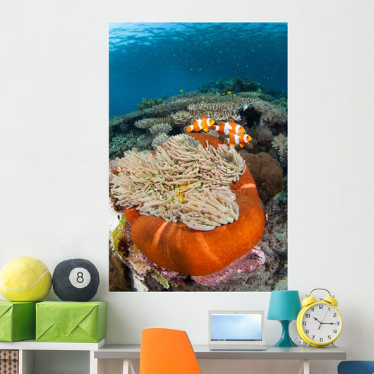 Magnificent Sea Anemone Shallow Wall Decal Design 1