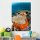 Magnificent Sea Anemone Shallow Wall Decal Design 1