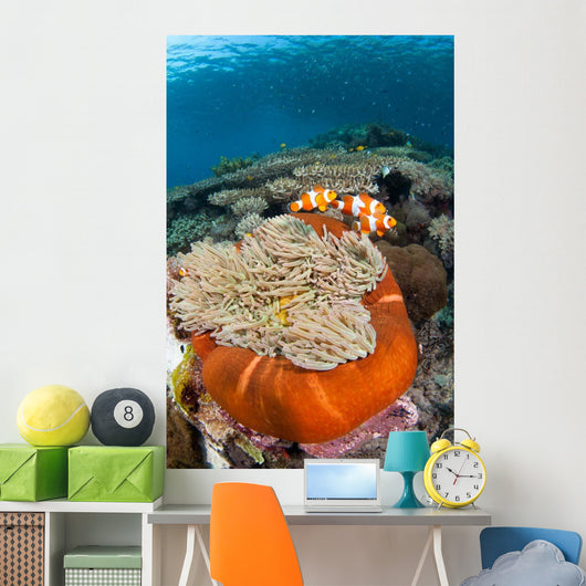 Magnificent Sea Anemone Shallow Wall Decal Design 1