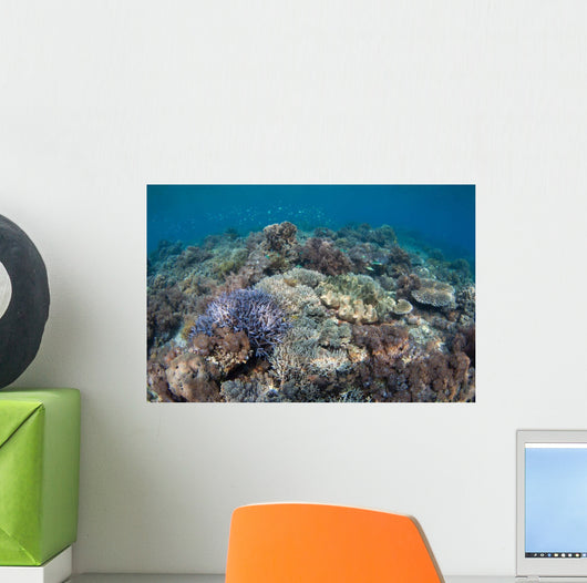 Shallow Hard Coral Garden Wall Decal Design 4