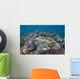 Shallow Hard Coral Garden Wall Decal Design 4