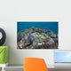 Shallow Hard Coral Garden Wall Decal Design 4