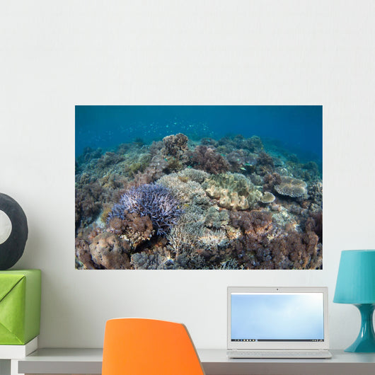Shallow Hard Coral Garden Wall Decal Design 4