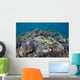 Shallow Hard Coral Garden Wall Decal Design 4