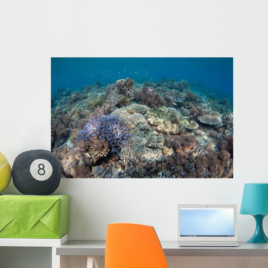 Shallow Hard Coral Garden Wall Decal Design 4