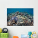 Shallow Hard Coral Garden Wall Decal Design 4