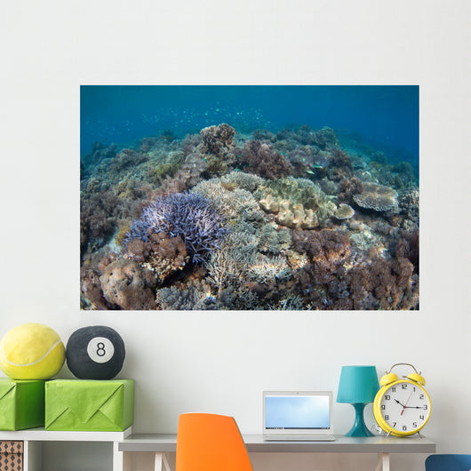 Shallow Hard Coral Garden Wall Decal Design 4