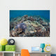 Shallow Hard Coral Garden Wall Decal Design 4