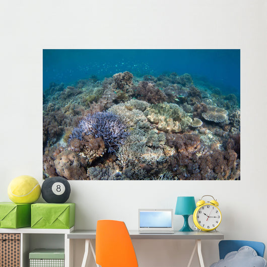Shallow Hard Coral Garden Wall Decal Design 4
