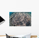 Shallow Hard Coral Garden Wall Decal Design 3