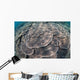 Shallow Hard Coral Garden Wall Decal Design 3