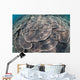 Shallow Hard Coral Garden Wall Decal Design 3
