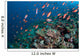 Several Species Small Schooling Wall Decal Design 6