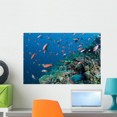 Several Species Small Schooling Wall Decal Design 5 shown on a wall