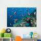 Several Species Small Schooling Wall Decal Design 5
