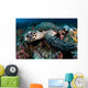 Hawksbill Sea Turtle Portrait Wall Decal Design 2