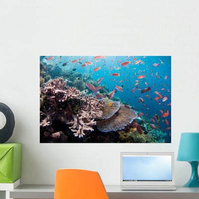 Several Species Small Schooling Wall Decal Design 4 shown on a wall