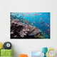 Several Species Small Schooling Wall Decal Design 4
